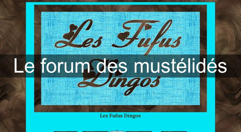 Le forum des mustélidés Le forum des mustélidés