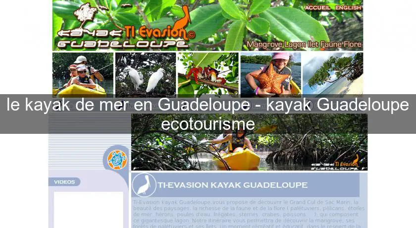 le kayak de mer en Guadeloupe - kayak Guadeloupe ecotourisme