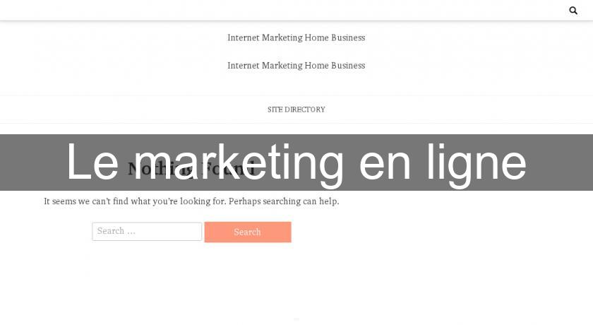 Le marketing en ligne Le marketing en ligne