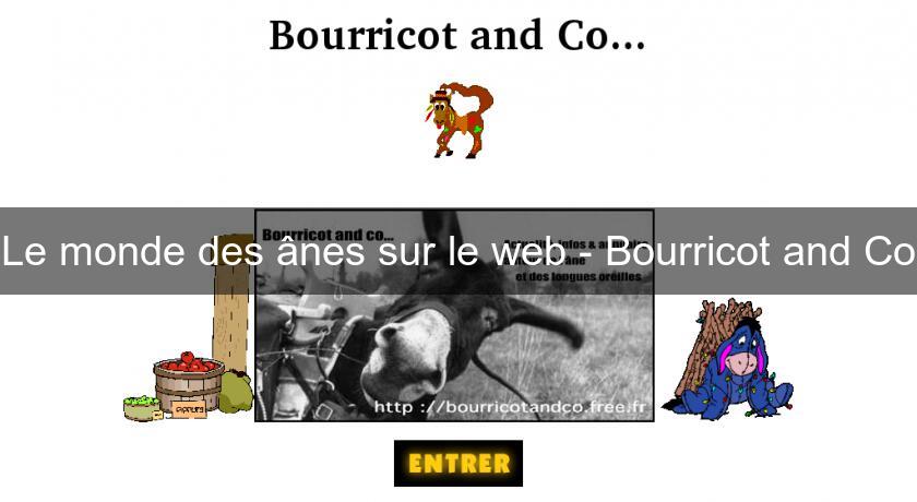 Le monde des ânes sur le web - Bourricot and Co