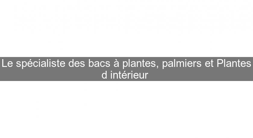 Le spécialiste des bacs à plantes, palmiers et Plantes d'intérieur 