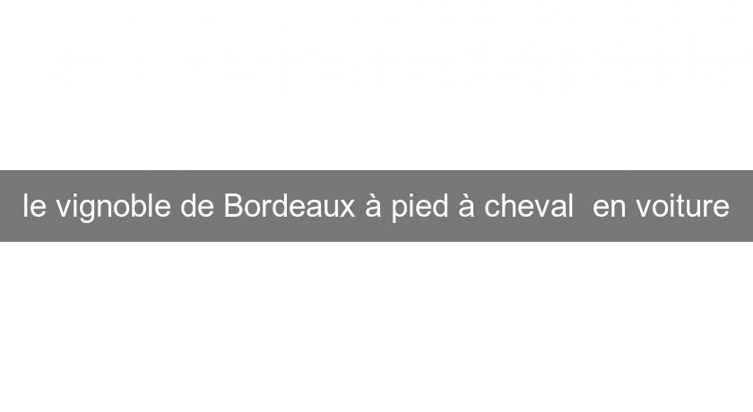 le vignoble de Bordeaux à pied à cheval  en voiture