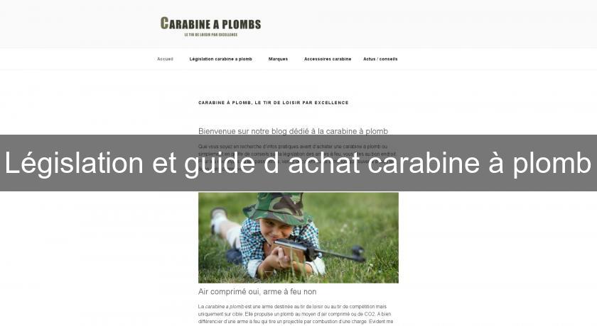 Législation et guide d'achat carabine à plomb