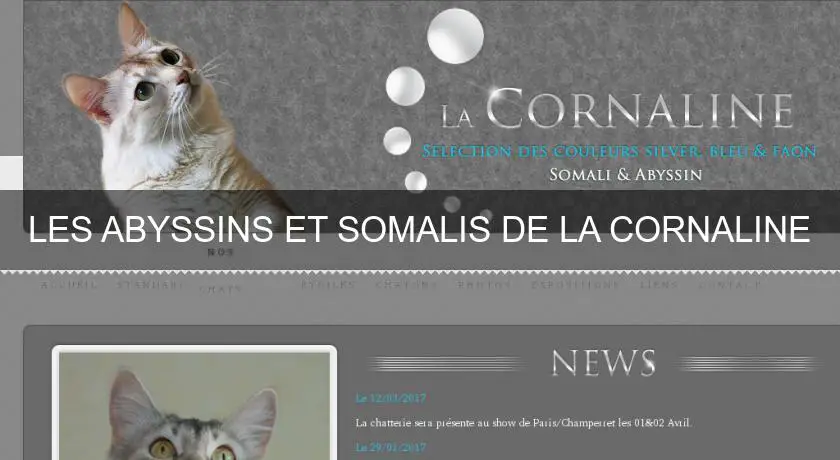 LES ABYSSINS ET SOMALIS DE LA CORNALINE