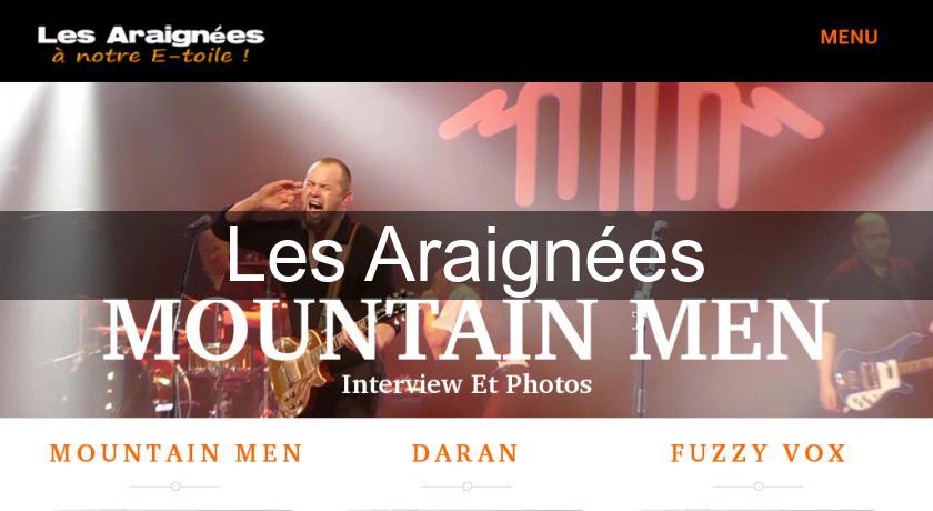 Les Araignées Les Araignées