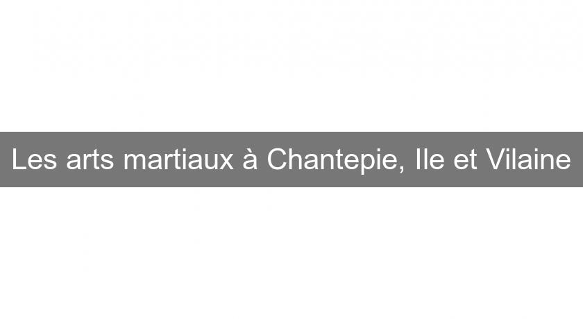 Les arts martiaux à Chantepie, Ile et Vilaine