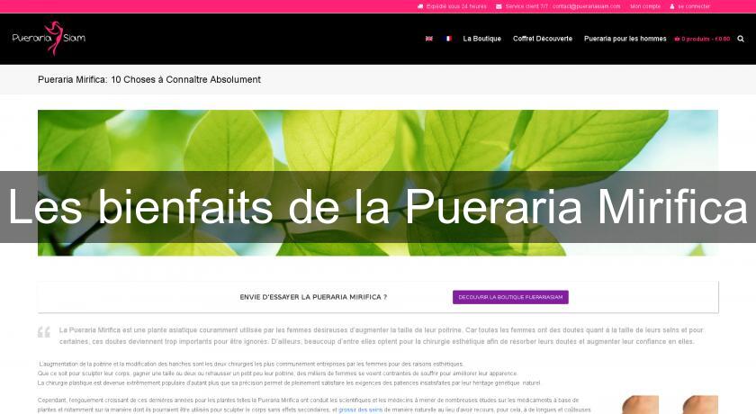 Les bienfaits de la Pueraria Mirifica Les bienfaits de la Pueraria Mirifica