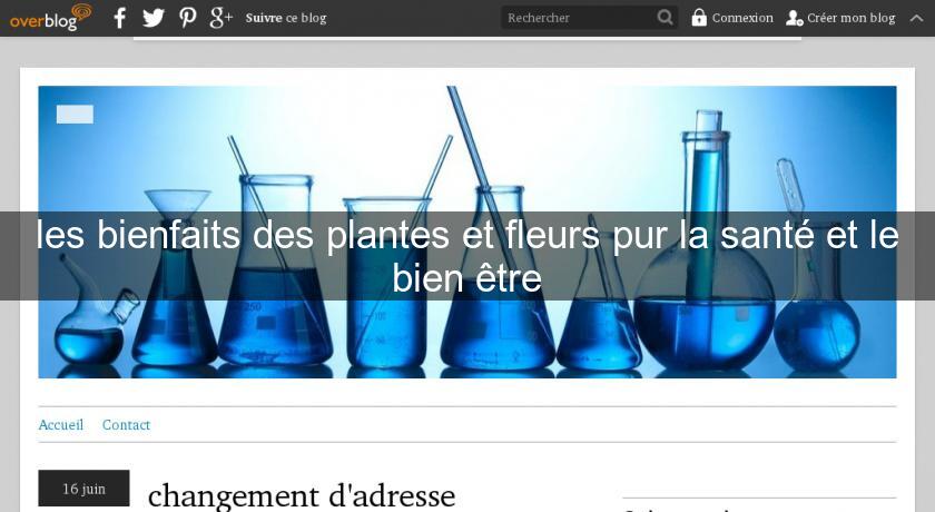 les bienfaits des plantes et fleurs pur la santé et le bien être les bienfaits des plantes et fleurs pur la santé et le bien être
