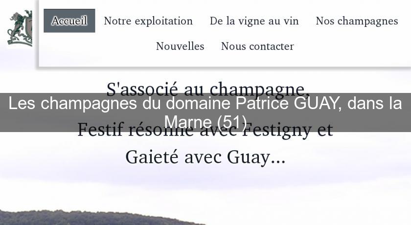 Les champagnes du domaine Patrice GUAY, dans la Marne (51)