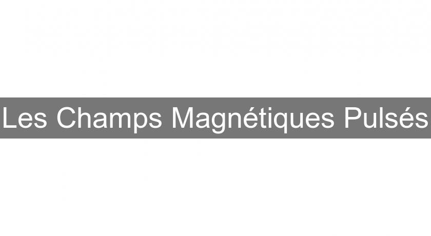 Les Champs Magnétiques Pulsés Les Champs Magnétiques Pulsés