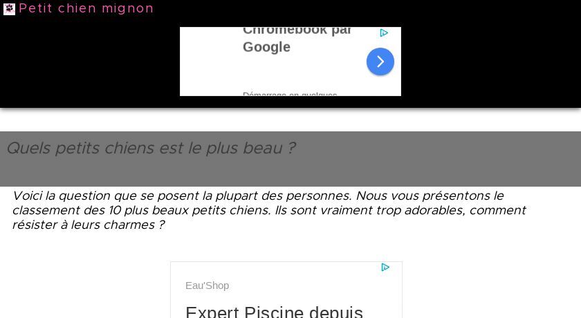 Les chiens de petite taille Les chiens de petite taille