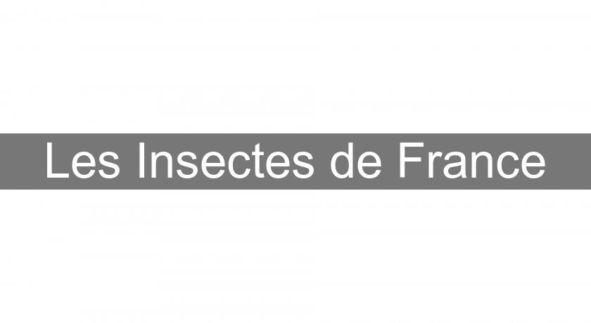 Les Insectes de France