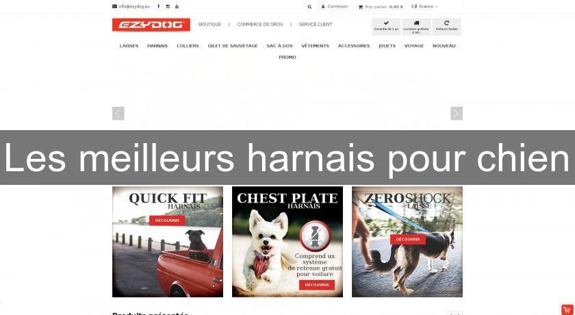 Les meilleurs harnais pour chien