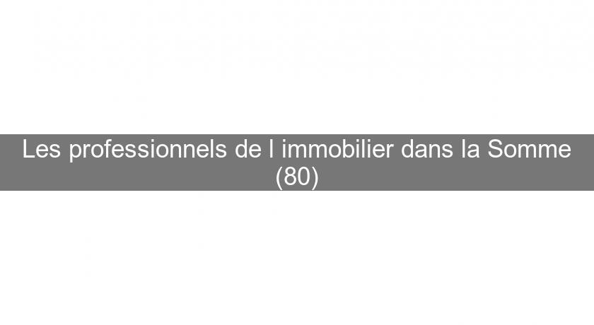 Les professionnels de l'immobilier dans la Somme (80) Les professionnels de l'immobilier dans la Somme (80)