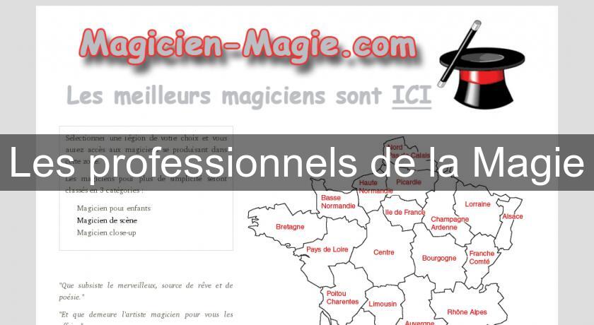 Les professionnels de la Magie