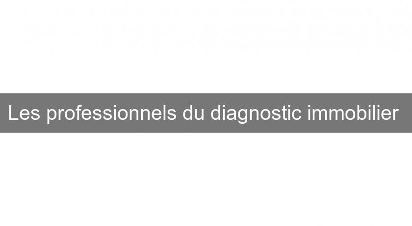 Les professionnels du diagnostic immobilier Les professionnels du diagnostic immobilier