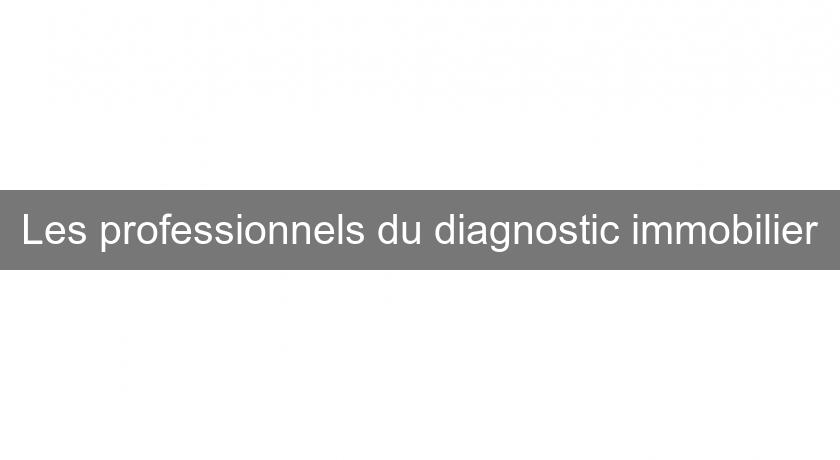 Les professionnels du diagnostic immobilier