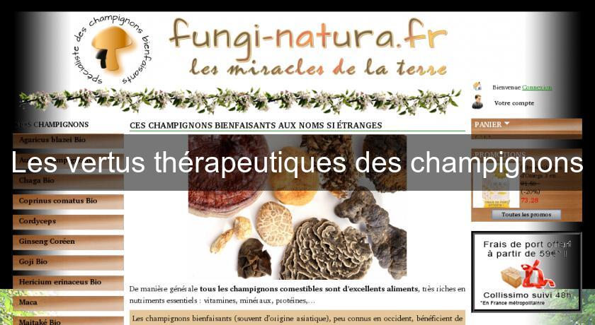 Les vertus thérapeutiques des champignons