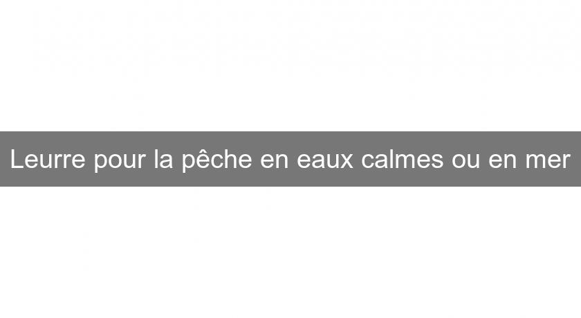 Leurre pour la pêche en eaux calmes ou en mer Leurre pour la pêche en eaux calmes ou en mer