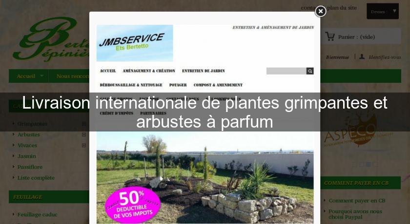 Livraison internationale de plantes grimpantes et arbustes à parfum