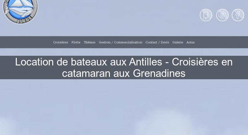 Location de bateaux aux Antilles - Croisières en catamaran aux Grenadines Location de bateaux aux Antilles - Croisières en catamaran aux Grenadines