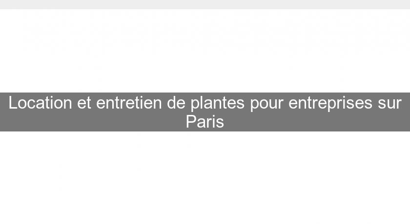Location et entretien de plantes pour entreprises sur Paris Location et entretien de plantes pour entreprises sur Paris