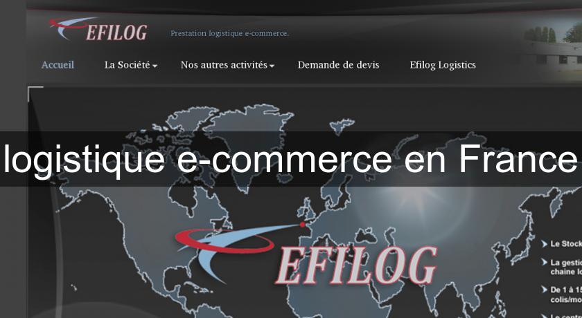 logistique e-commerce en France logistique e-commerce en France
