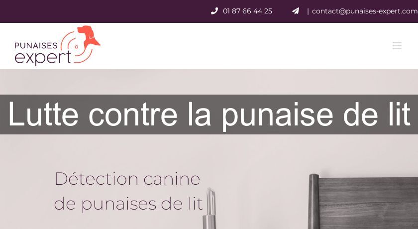 Lutte contre la punaise de lit Lutte contre la punaise de lit