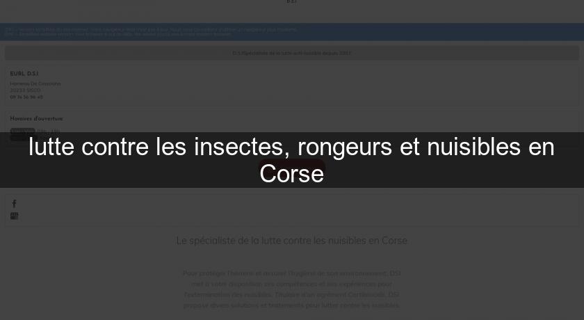 lutte contre les insectes, rongeurs et nuisibles en Corse