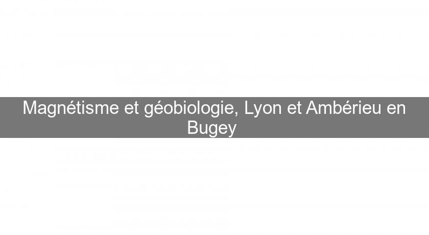 Magnétisme et géobiologie, Lyon et Ambérieu en Bugey 