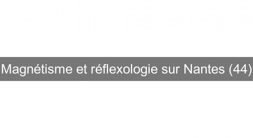 Magnétisme et réflexologie sur Nantes (44)