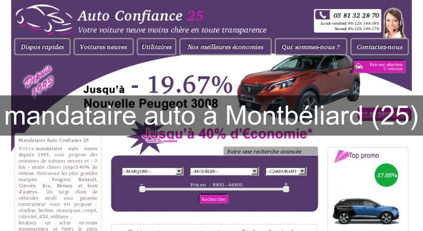 mandataire auto à Montbéliard (25)