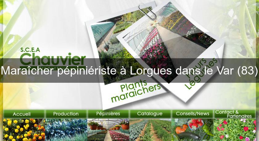Maraîcher pépiniériste à Lorgues dans le Var (83) Maraîcher pépiniériste à Lorgues dans le Var (83)