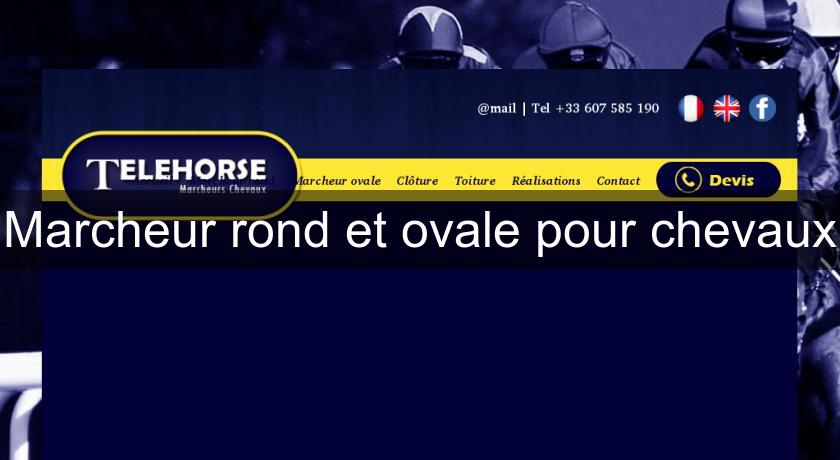 Marcheur rond et ovale pour chevaux Marcheur rond et ovale pour chevaux
