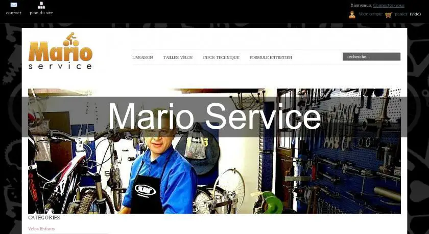 Mario Service