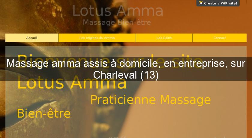 Massage amma assis à domicile, en entreprise, sur Charleval (13) Massage amma assis à domicile, en entreprise, sur Charleval (13)