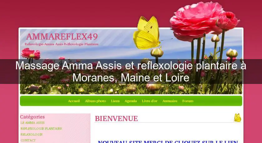 Massage Amma Assis et reflexologie plantaire à Moranes, Maine et Loire