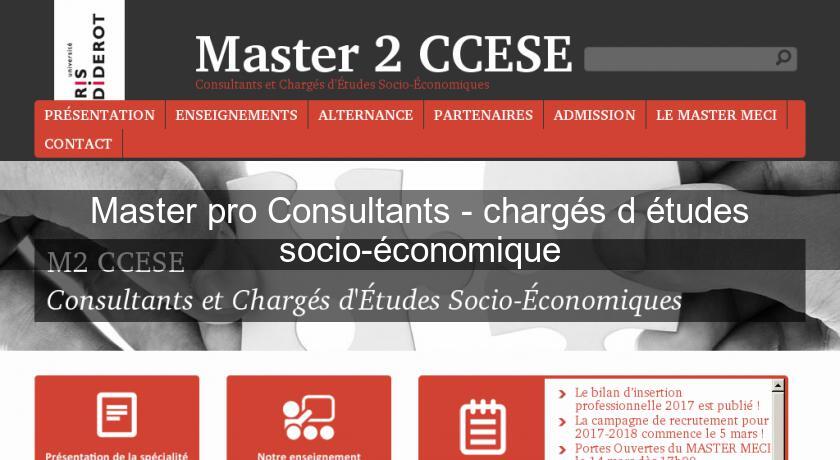 Master pro Consultants - chargés d'études socio-économique Master pro Consultants - chargés d'études socio-économique