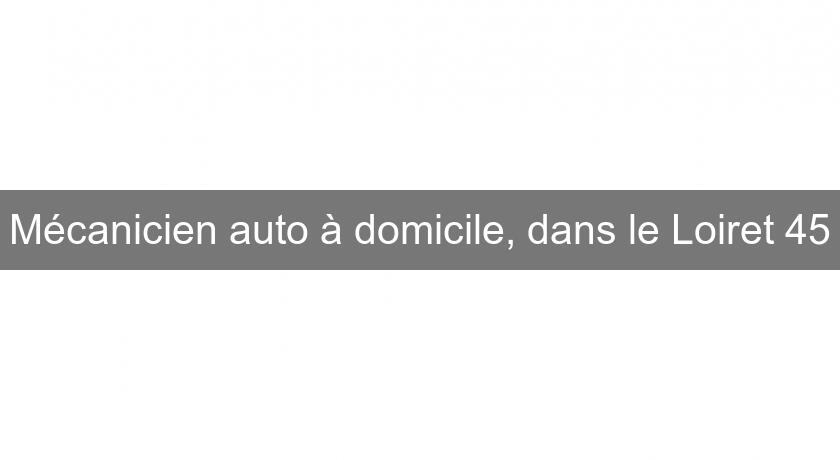 Mécanicien auto à domicile, dans le Loiret 45 Mécanicien auto à domicile, dans le Loiret 45