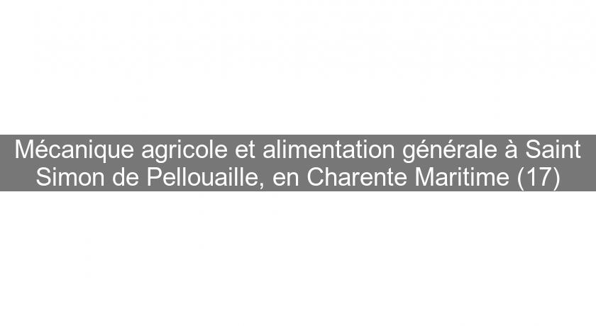Mécanique agricole et alimentation générale à Saint Simon de Pellouaille, en Charente Maritime (17)
