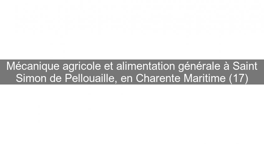 Mécanique agricole et alimentation générale à Saint Simon de Pellouaille, en Charente Maritime (17) Mécanique agricole et alimentation générale à Saint Simon de Pellouaille, en Charente Maritime (17)