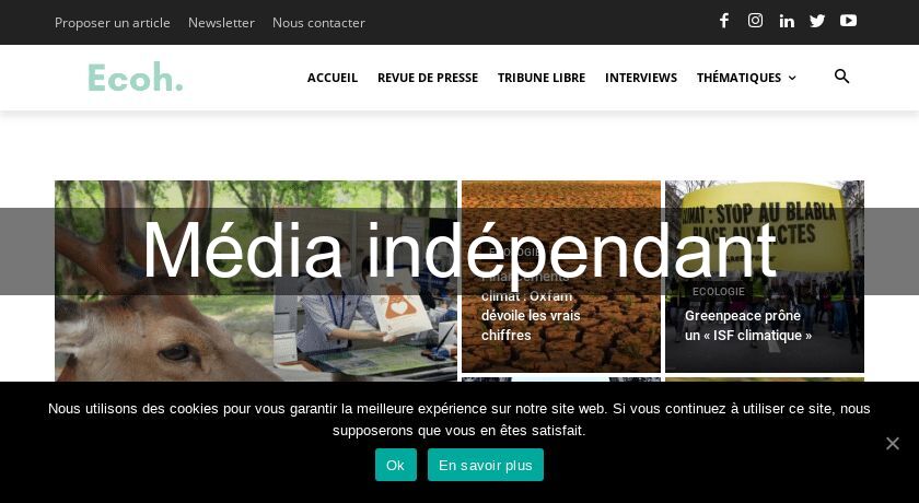 Média indépendant Média indépendant