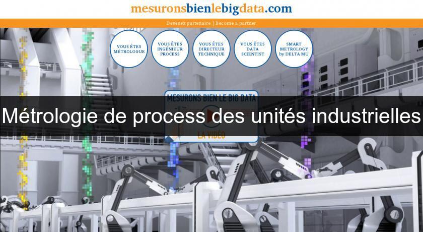 Métrologie de process des unités industrielles Métrologie de process des unités industrielles