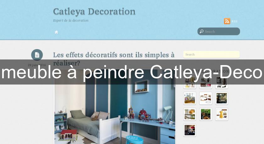 meuble à peindre Catleya-Deco meuble à peindre Catleya-Deco