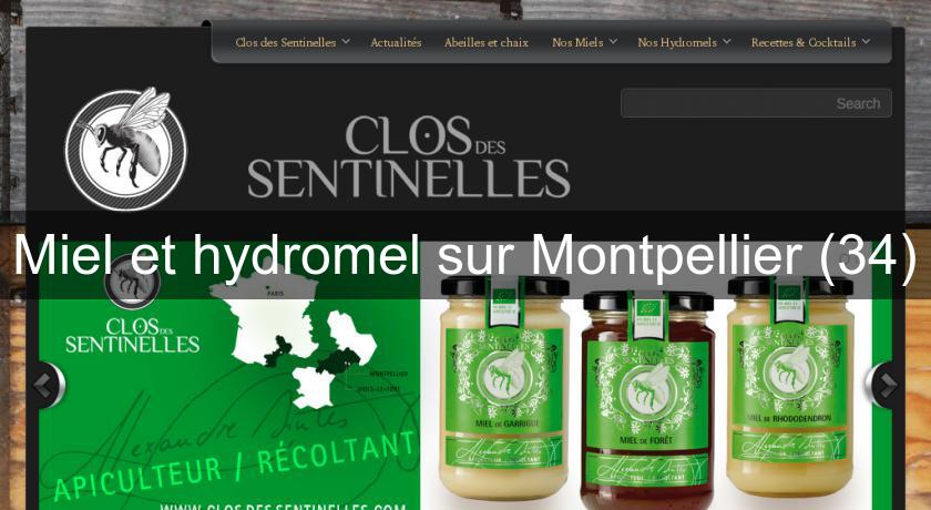 Miel et hydromel sur Montpellier (34)