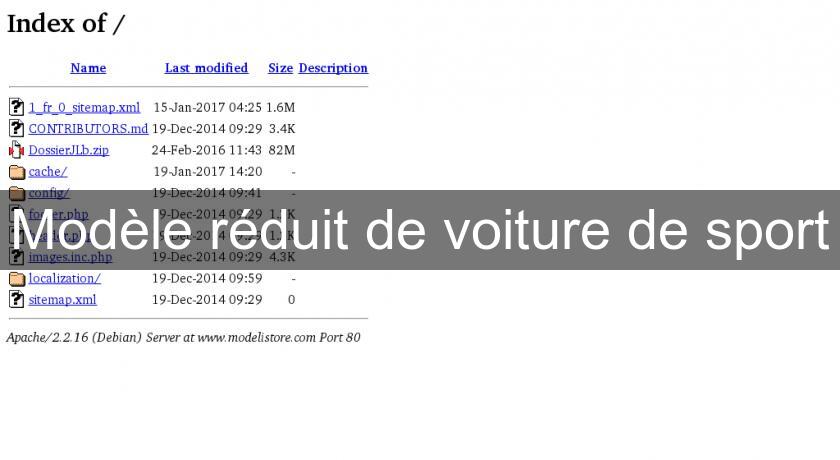 Modèle réduit de voiture de sport Modèle réduit de voiture de sport