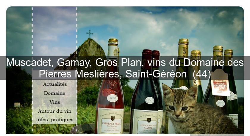 Muscadet, Gamay, Gros Plan, vins du Domaine des Pierres Meslières, Saint-Géréon (44) Muscadet, Gamay, Gros Plan, vins du Domaine des Pierres Meslières, Saint-Géréon (44)