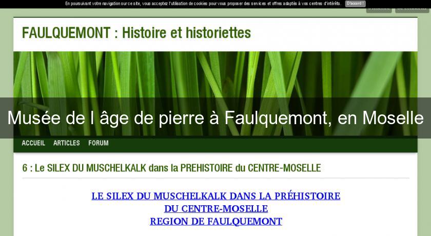 Musée de l'âge de pierre à Faulquemont, en Moselle Musée de l'âge de pierre à Faulquemont, en Moselle