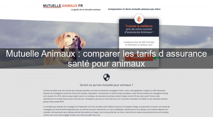 Mutuelle Animaux : comparer les tarifs d'assurance santé pour animaux Mutuelle Animaux : comparer les tarifs d'assurance santé pour animaux
