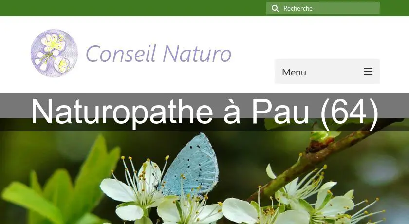 Naturopathe à Pau (64)